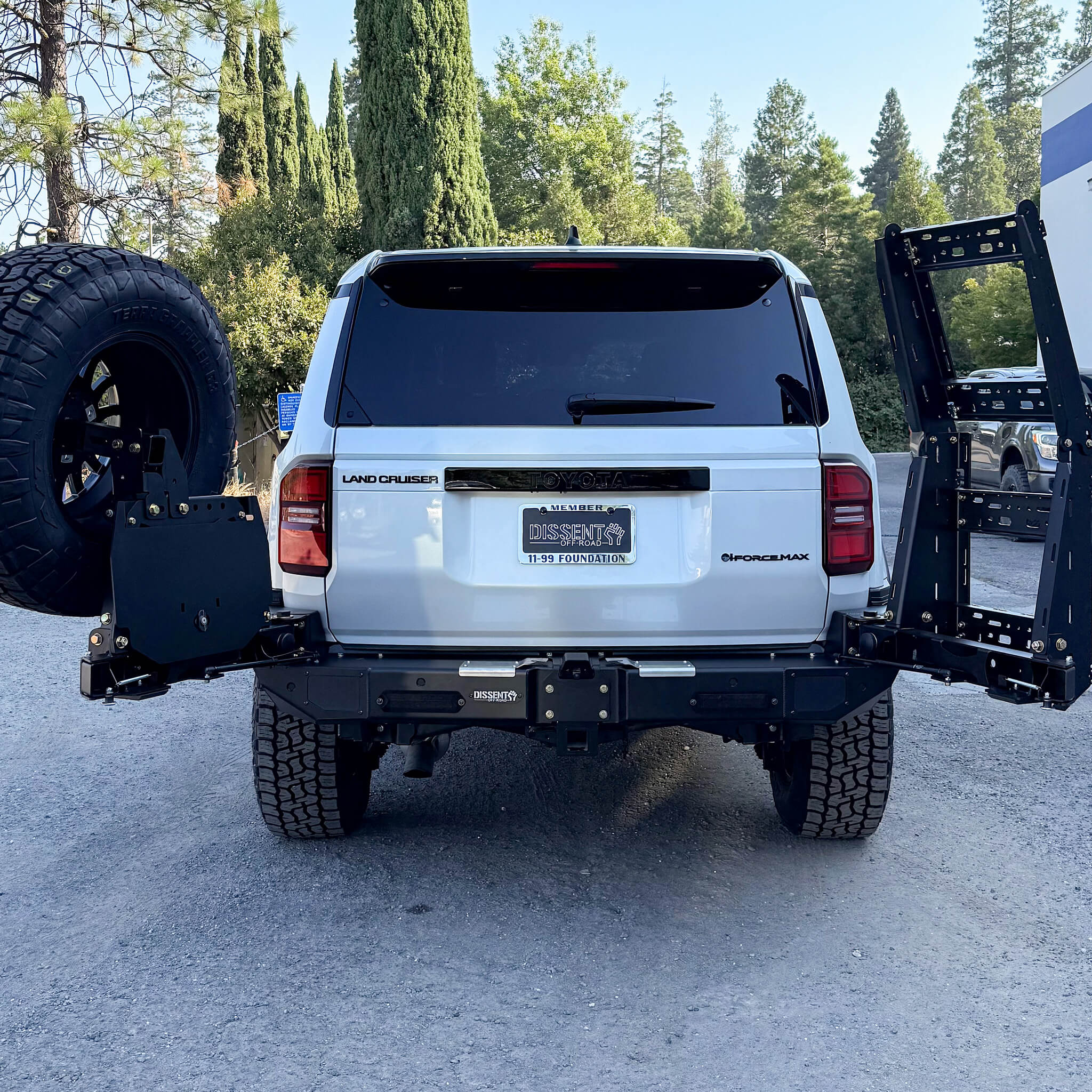 Ladder Swing-out - Image 13